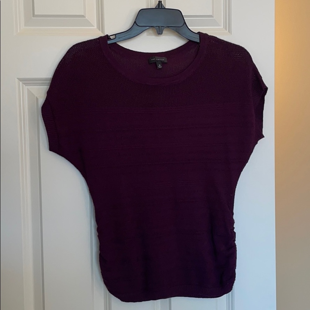 The Limited sweater top